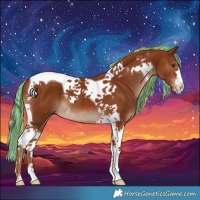 Horse Color:Painted Chestnut Tobiano 