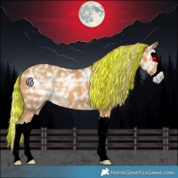 Horse Color:Painted Palomino Ice Splash