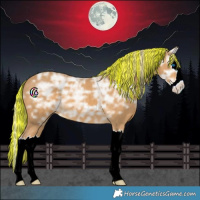 Horse Color:Painted Palomino Ice Splash