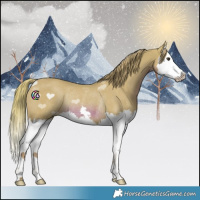 Horse Color:Watercolor Chestnut Splash Rabicano 