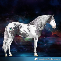 Horse Color:Watercolor Midnight Silver Bay Ice Splash Tobiano