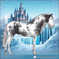 Horse Color:Watercolor Midnight Silver Bay Ice Splash Tobiano 