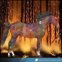 Horse Color:Nacre Bay 