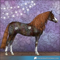 Horse Color:Midnight Chestnut Ice 