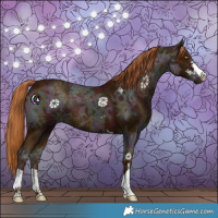 Horse Color:Midnight Chestnut Ice