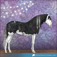 Horse Color:Midnight Black Ice Splash 