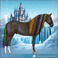 Horse Color:Painted Midnight Bay Ice Onyx