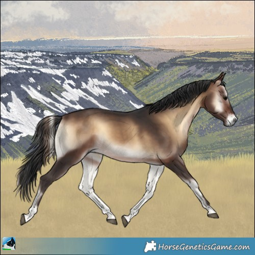 Horse Color:Brown Onyx 