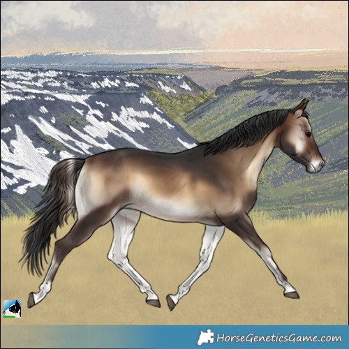Horse Color:Brown Onyx