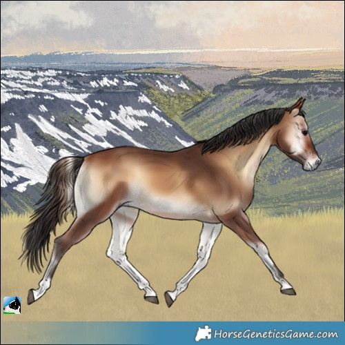 Horse Color:Bay Onyx 