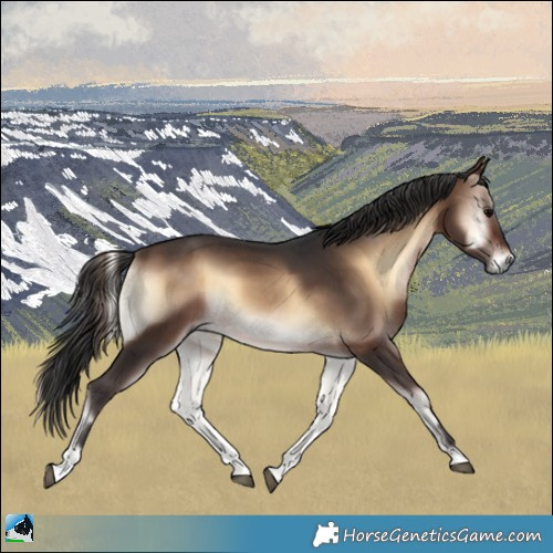 Horse Color:Brown Onyx