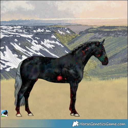 Horse Color:ERROR: UNKNOWN ANOMALY