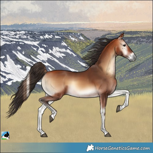 Horse Color:Bay Onyx 