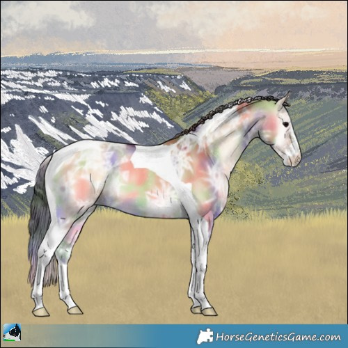 Horse Color:Nacre Bay Ice Onyx Sabino Tobiano