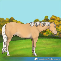 Horse Color:Silver Amber Cream Champagne 