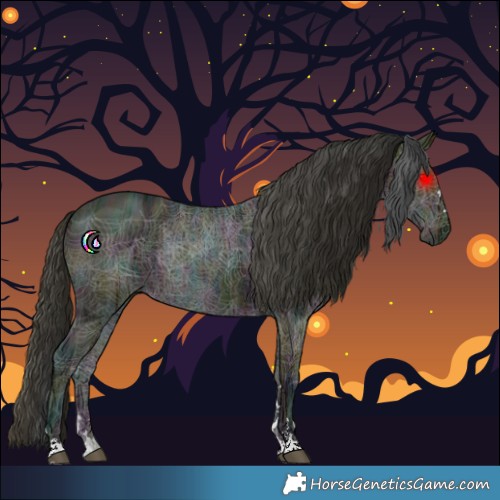 Horse Color:Midnight Bay Ice Rabicano 