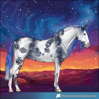 Horse Color:Watercolor White Spotted Midnight Black Ice Splash