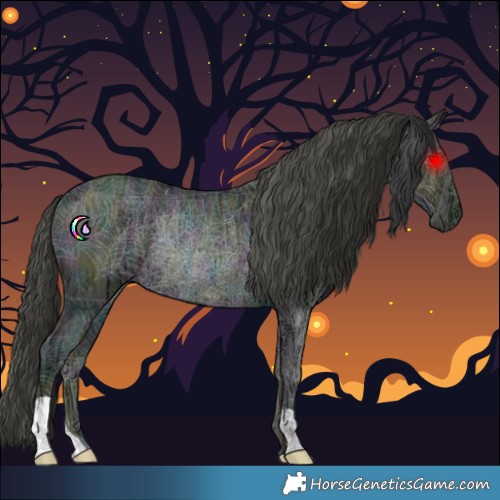 Horse Color:Midnight Black Ice Rabicano 