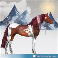 Horse Color:Painted Bay Tobiano Rabicano 