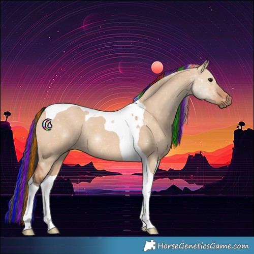 Horse Color:Painted Bay Dun Tobiano Rabicano 