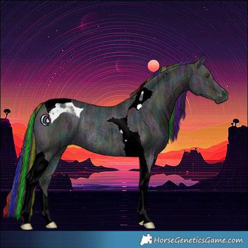 Horse Color:Painted Midnight Bay Ice Dun Tobiano Rabicano 
