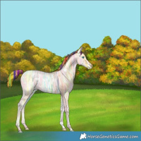 Horse Color:Painted Buckskin Ice Pearl Dun