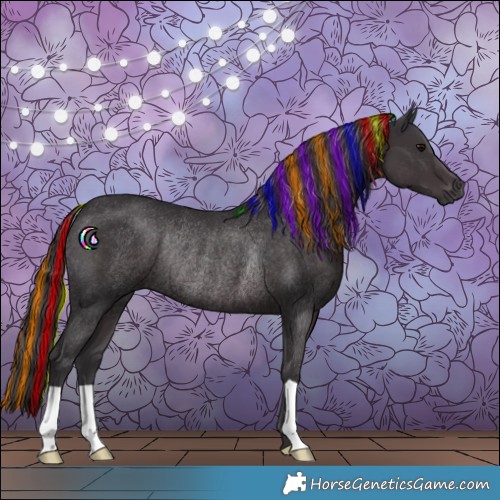 Horse Color:Painted Black Rabicano 