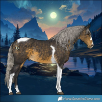 Horse Color:Silver Buckskin Tobiano
