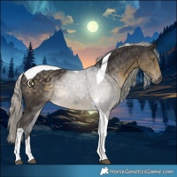 Horse Color:Silver Smoky Black Tobiano 