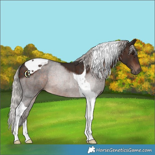 Horse Color:Silver Brown Tobiano
