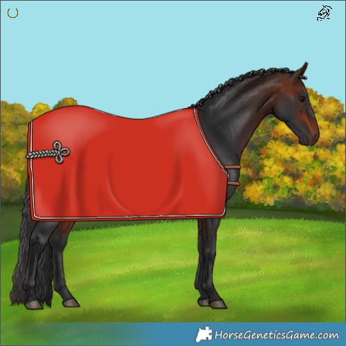 Horse Color:Brown 