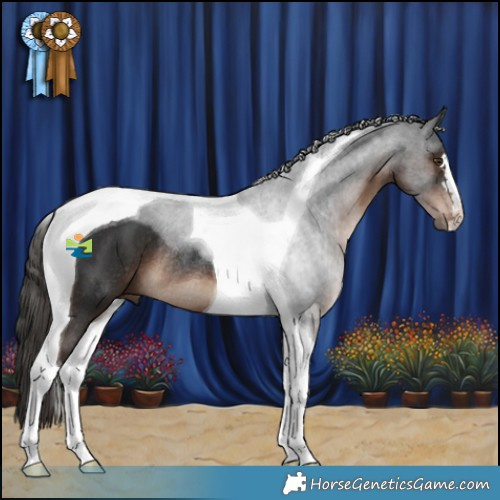 Horse Color:Liver Chestnut Tobiano Rabicano 