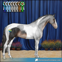 Horse Color:Liver Chestnut Tobiano Rabicano