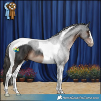 Horse Color:Liver Chestnut Tobiano Rabicano