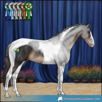 Horse Color:Liver Chestnut Tobiano Rabicano 