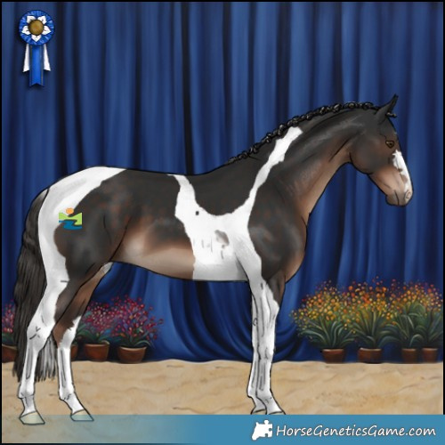 Horse Color:Liver Chestnut Tobiano 