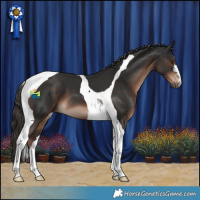 Horse Color:Liver Chestnut Tobiano 