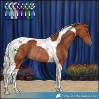 Horse Color:Silver Bay Tobiano Rabicano 