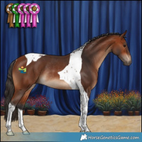Horse Color:Bay Tobiano Rabicano
