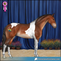 Horse Color:Bay Tobiano Rabicano