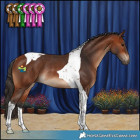 Horse Color:Bay Tobiano Rabicano 