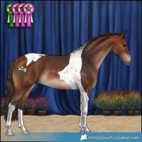 Horse Color:Bay Tobiano Rabicano 
