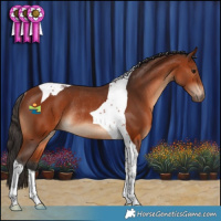 Horse Color:Bay Tobiano Rabicano 