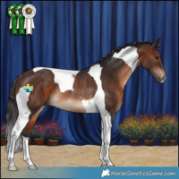Horse Color:Brown Tobiano Rabicano