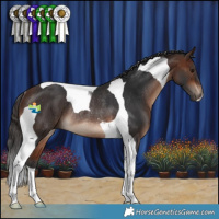 Horse Color:Brown Tobiano Rabicano