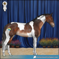 Horse Color:Brown Tobiano Rabicano 