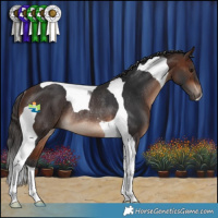 Horse Color:Brown Tobiano Rabicano