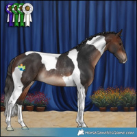 Horse Color:Brown Tobiano Rabicano