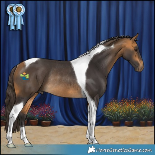 Horse Color:Buckskin Tobiano Rabicano 