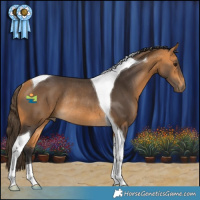 Horse Color:Buckskin Tobiano Rabicano 